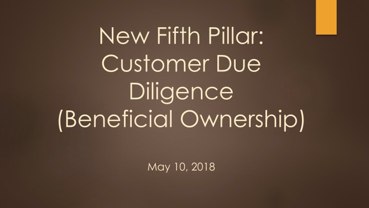 new fifth pillar customer due diligence