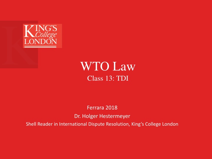 wto law class 13 tdi