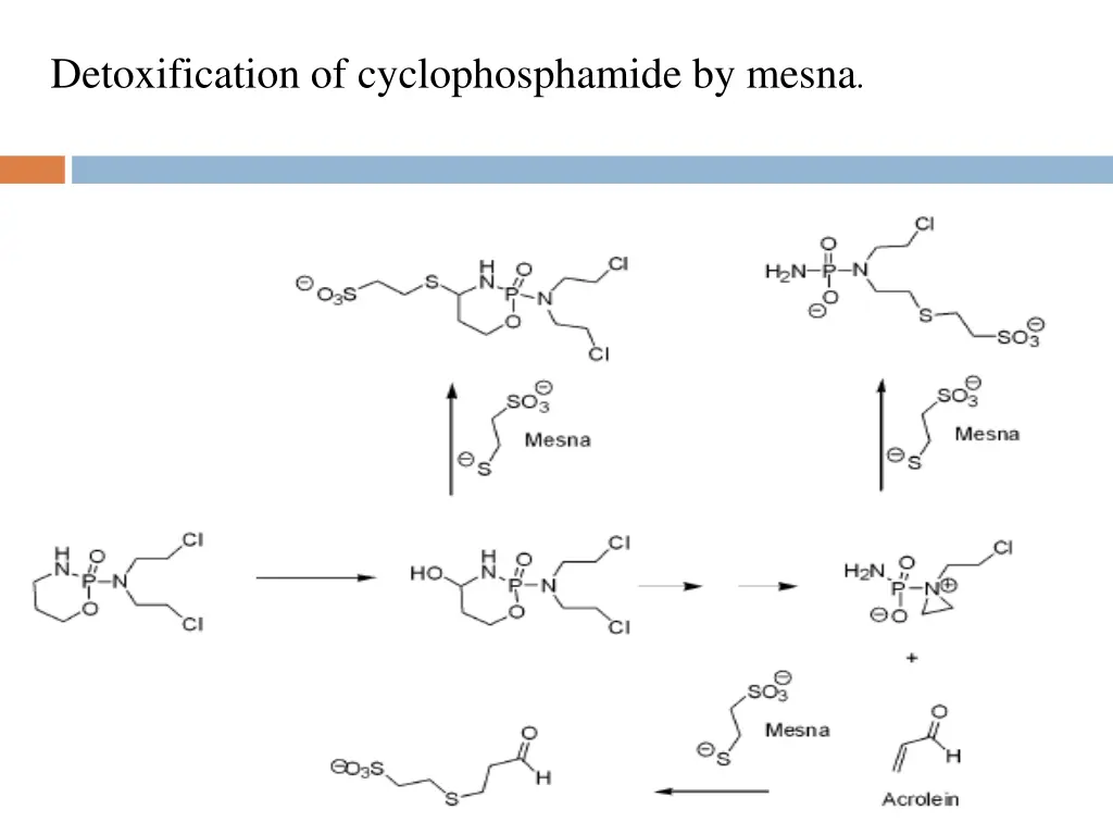 detoxification of cyclophosphamide by mesna