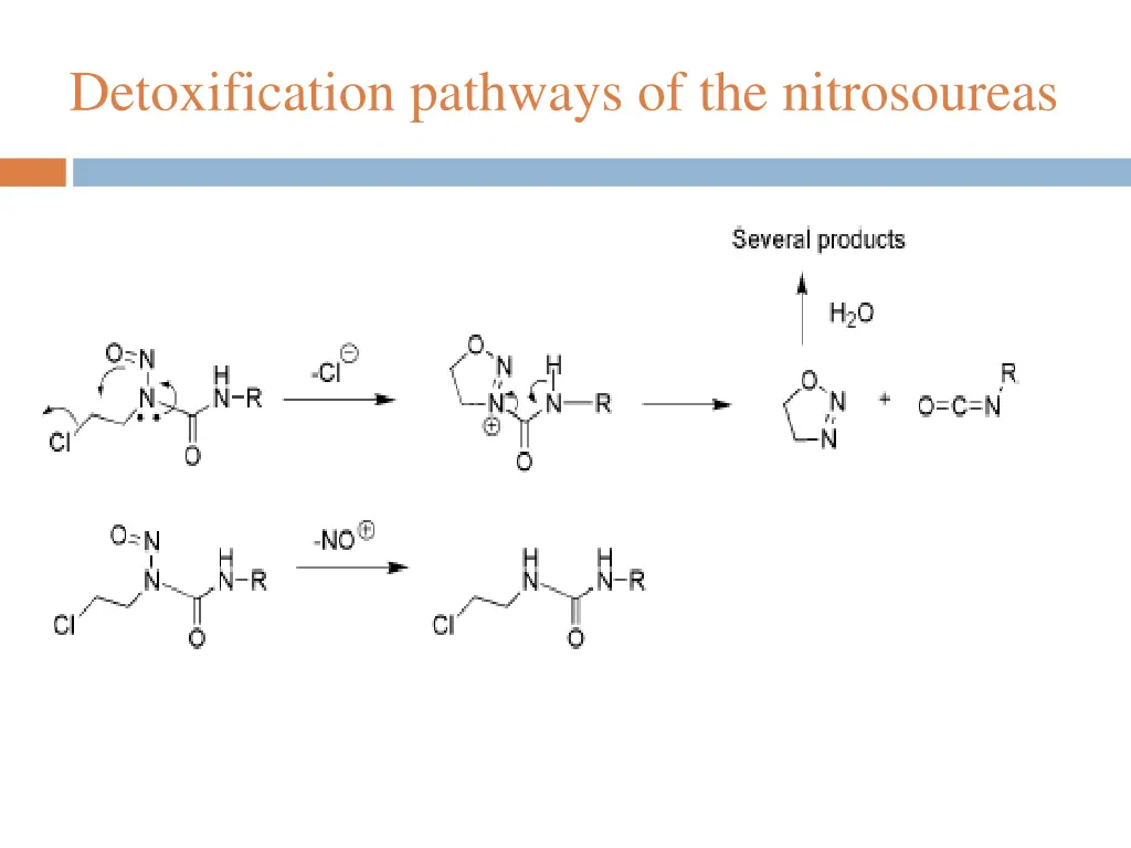 detoxification pathways of the nitrosoureas 1