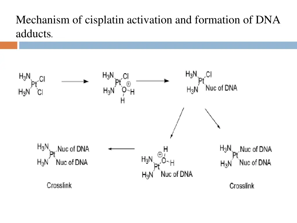 mechanism of cisplatin activation and formation