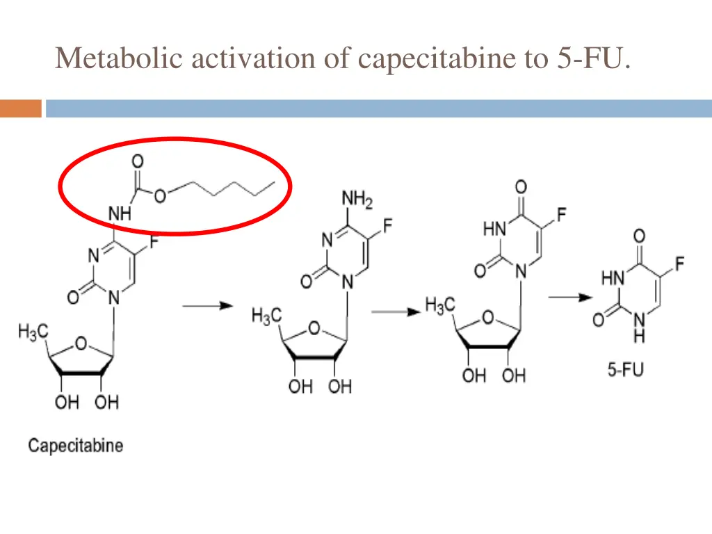 metabolic activation of capecitabine to 5 fu