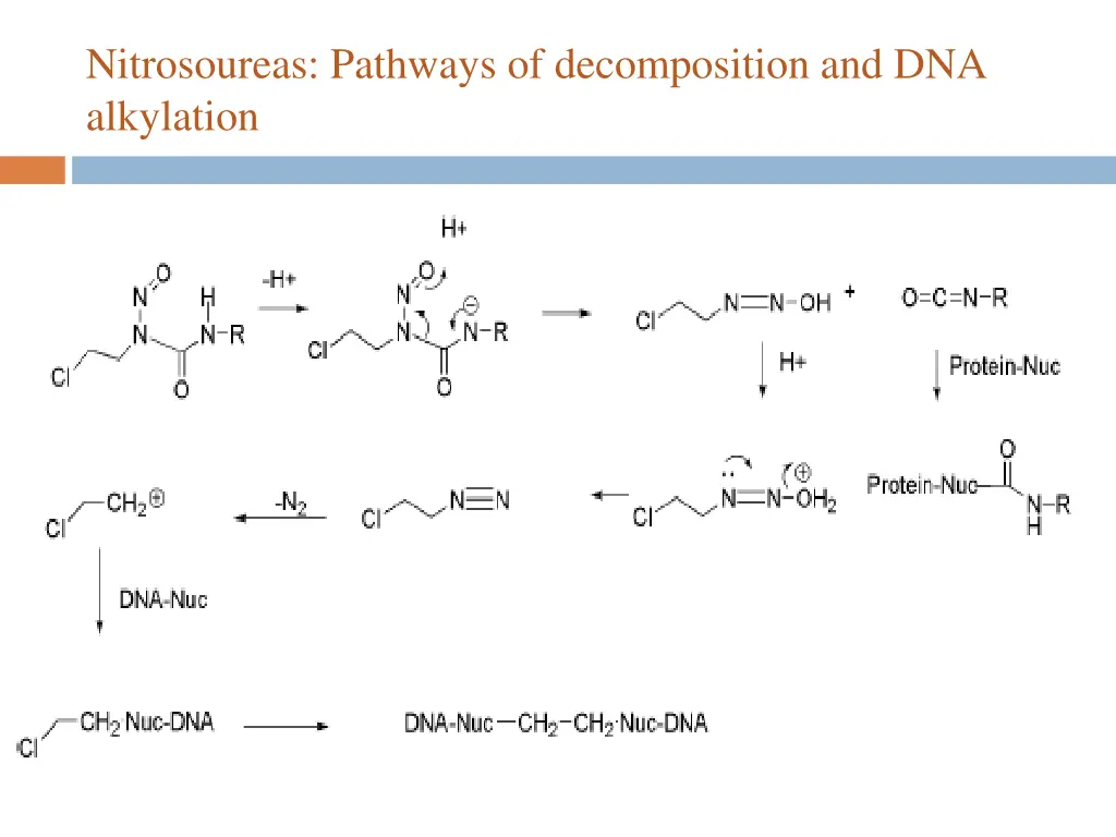 nitrosoureas pathways of decomposition