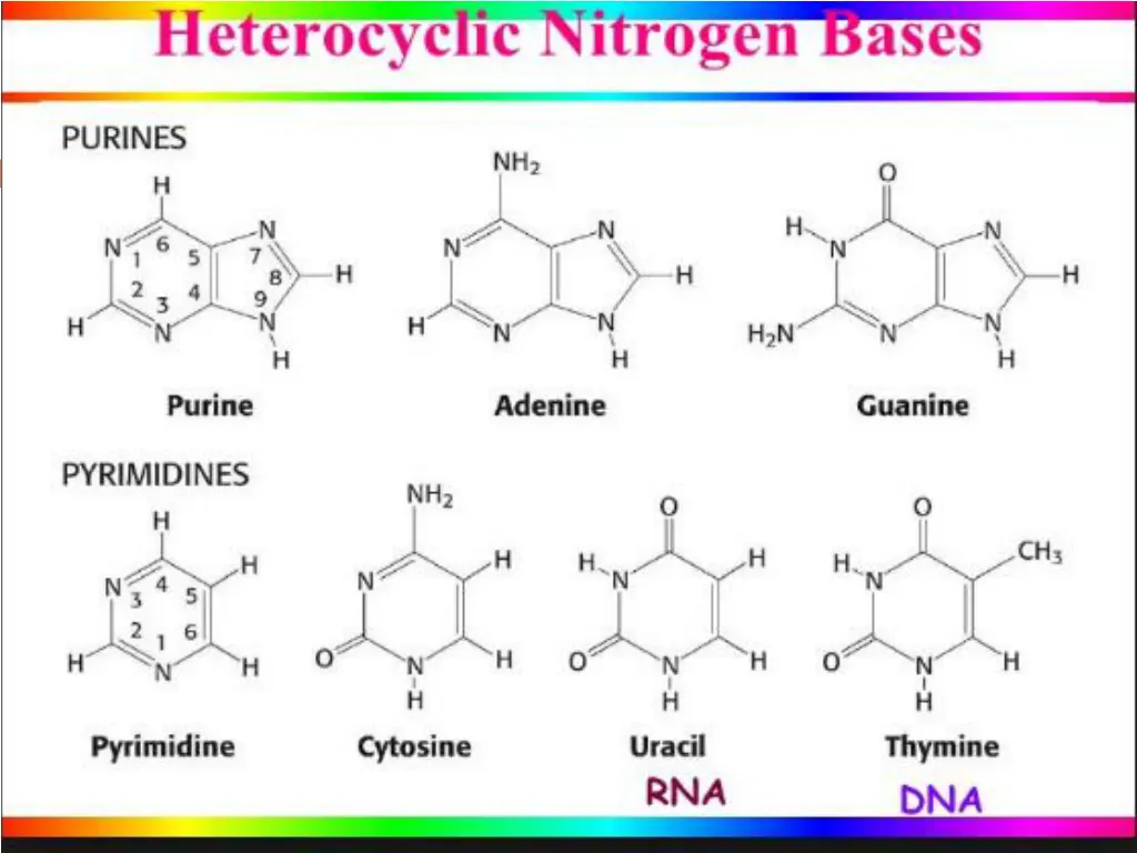 slide6