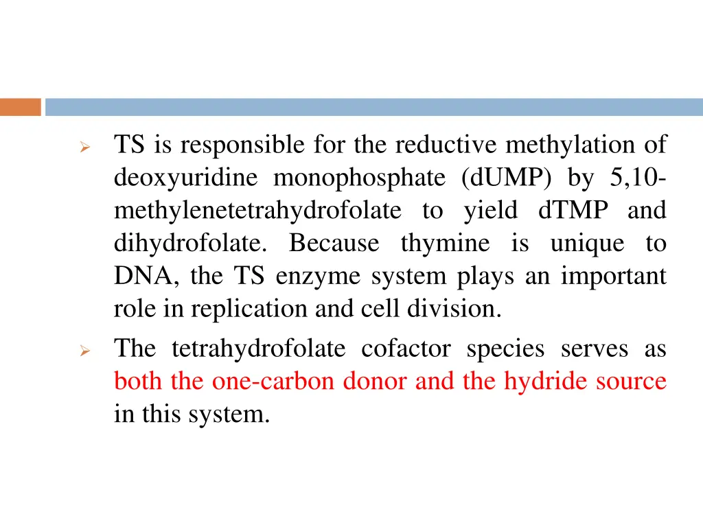 ts is responsible for the reductive methylation