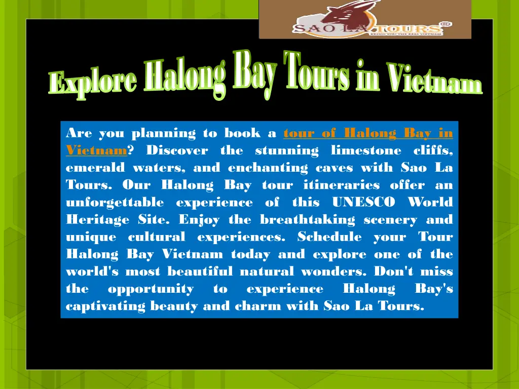 halong halong bay tours in vietnam bay tours 3