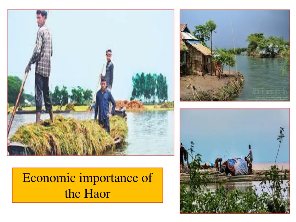 economic importance of the haor