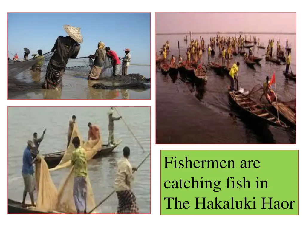 fishermen are catching fish in the hakaluki haor