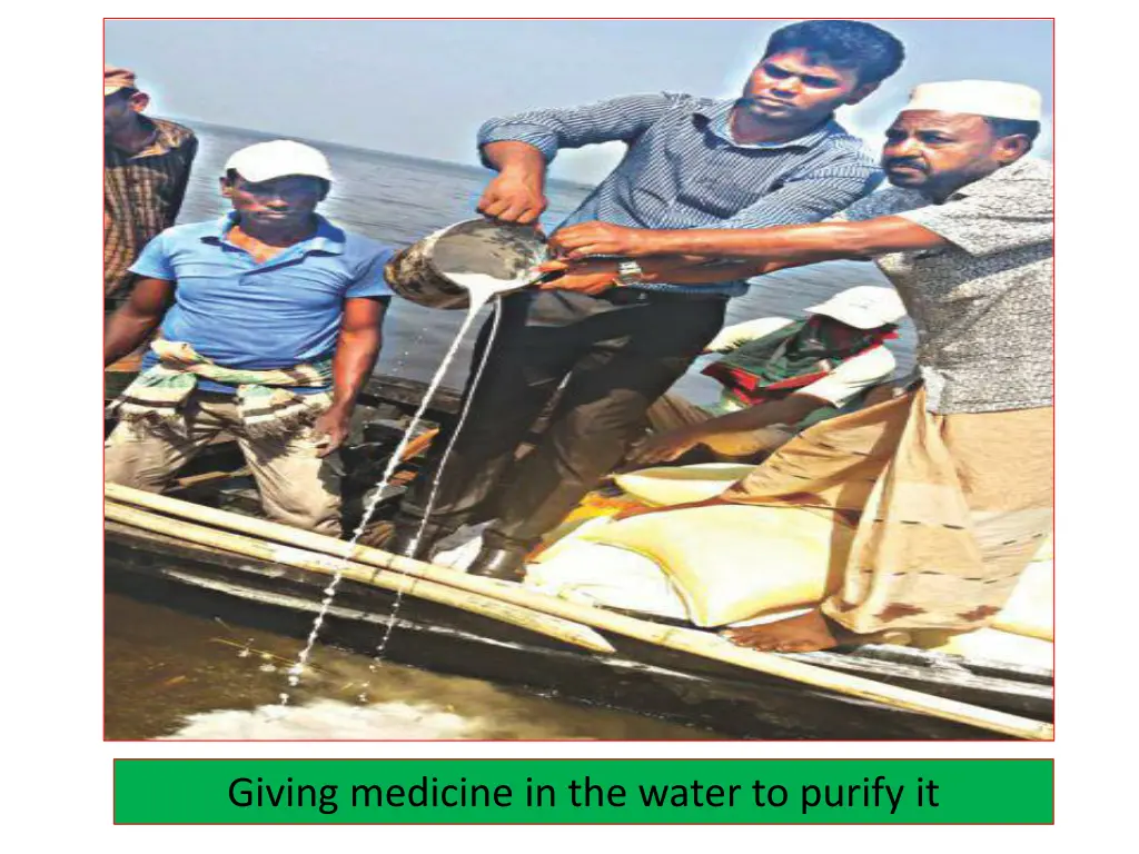 giving medicine in the water to purify it