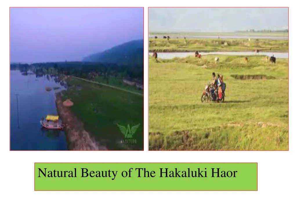 natural beauty of the hakaluki haor 1