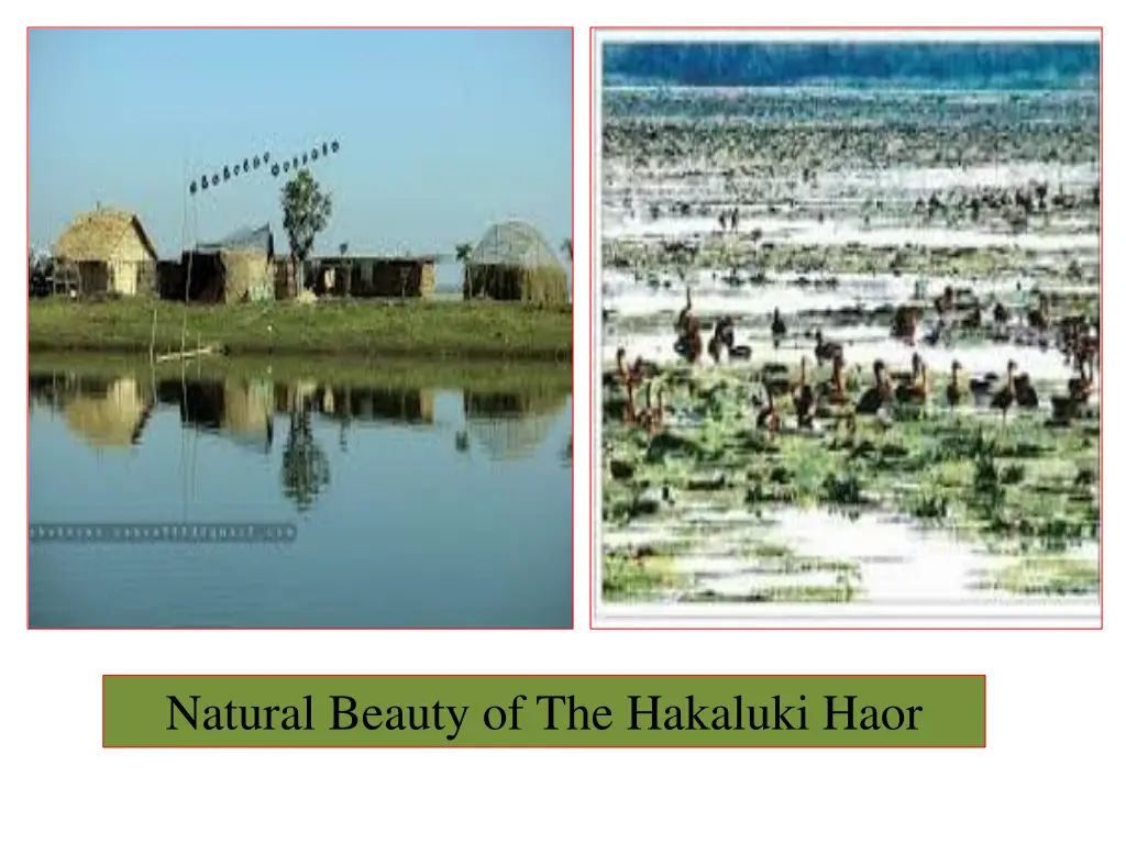 natural beauty of the hakaluki haor