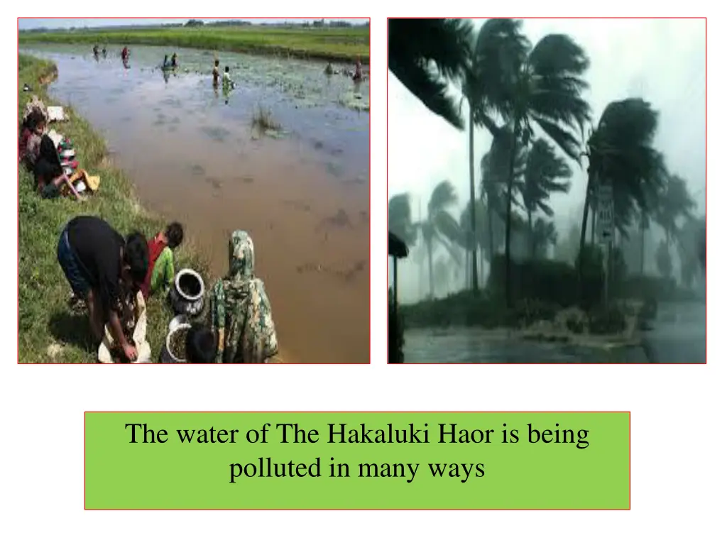 the water of the hakaluki haor is being polluted 1