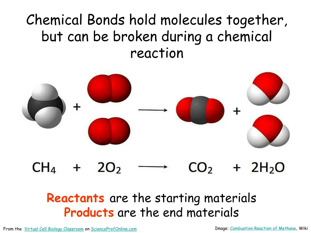 chemical bonds hold molecules together