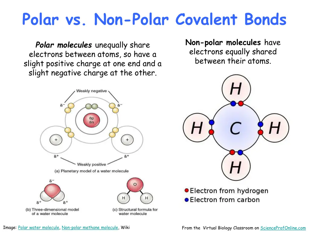 polar vs non polar covalent bonds