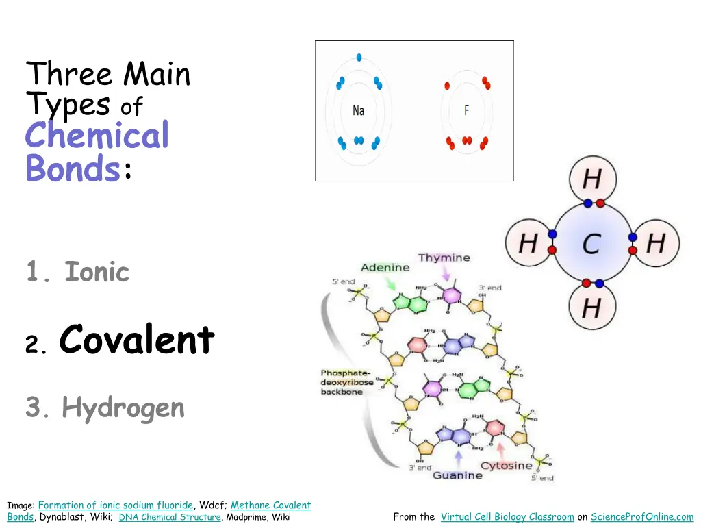 three main types of chemical bonds 1