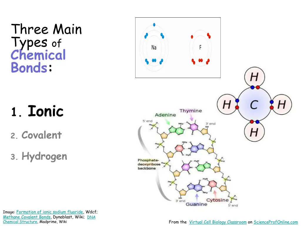 three main types of chemical bonds