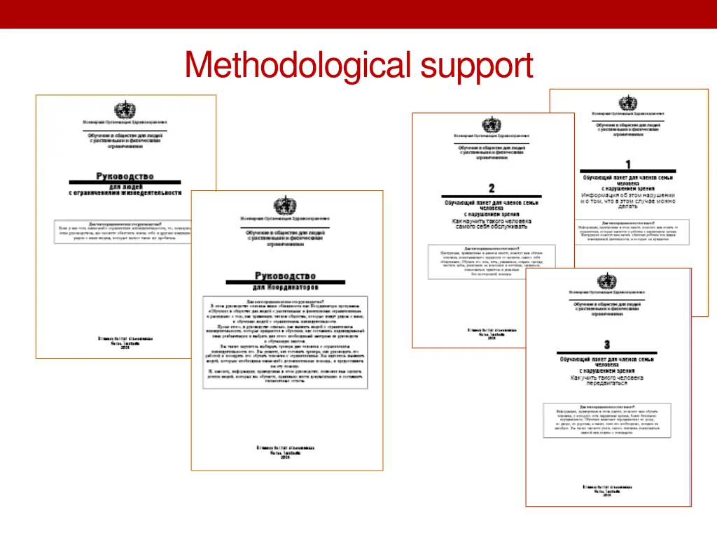 methodological support