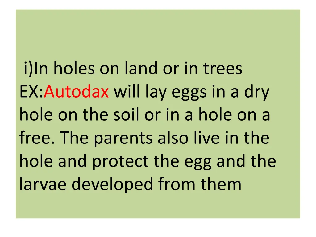 i in holes on land or in trees ex autodax will