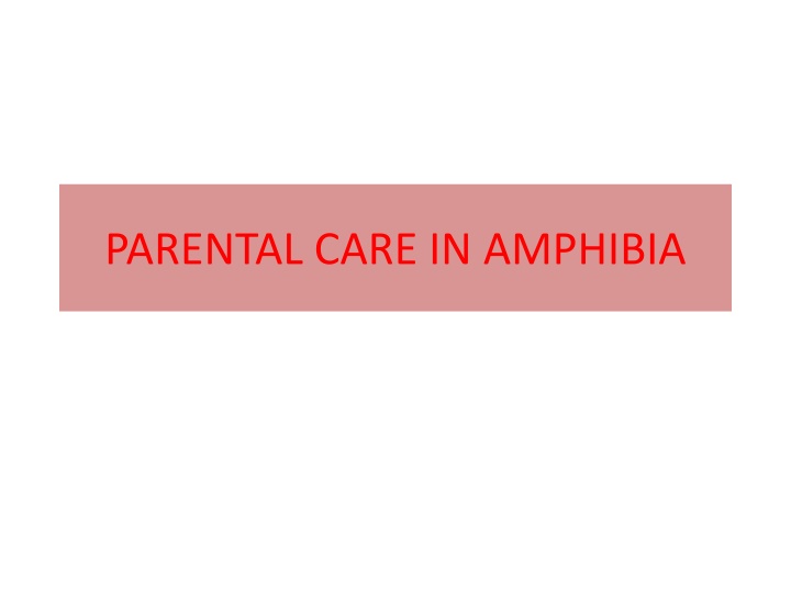 parental care in amphibia