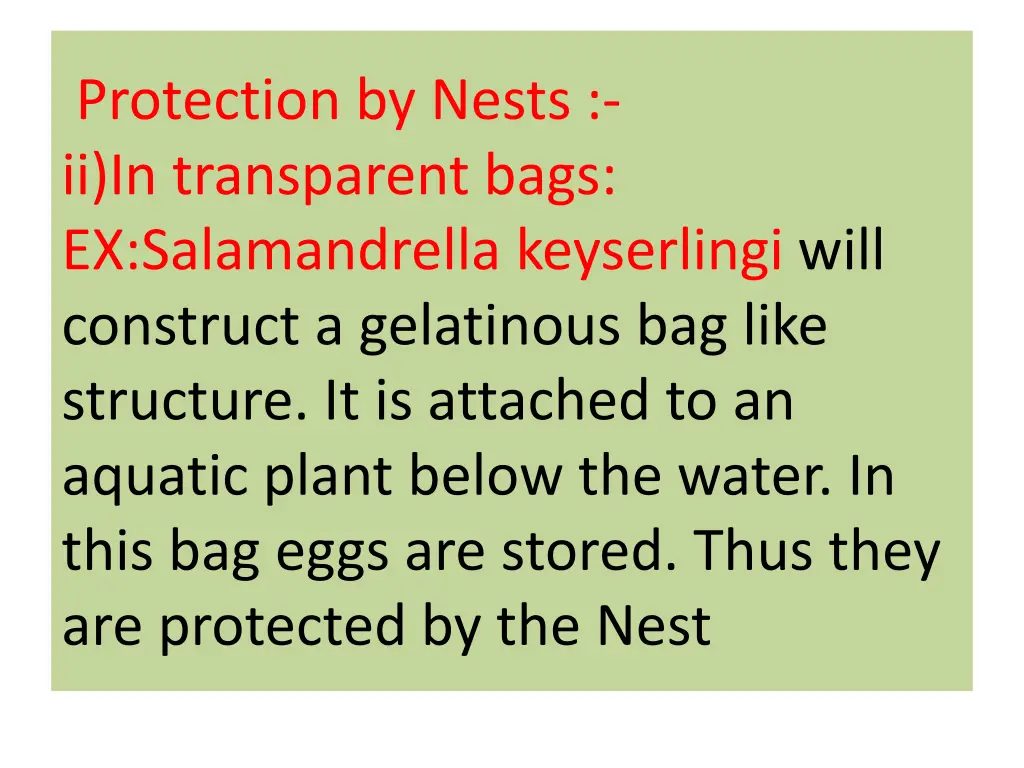 protection by nests ii in transparent bags