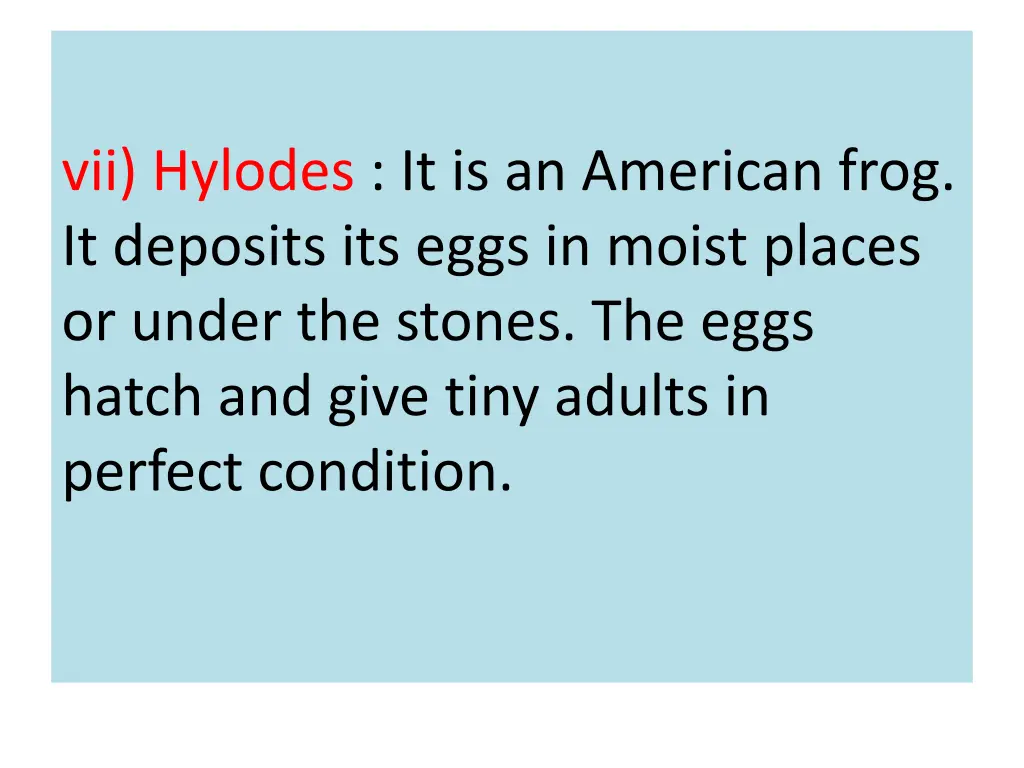 vii hylodes it is an american frog it deposits