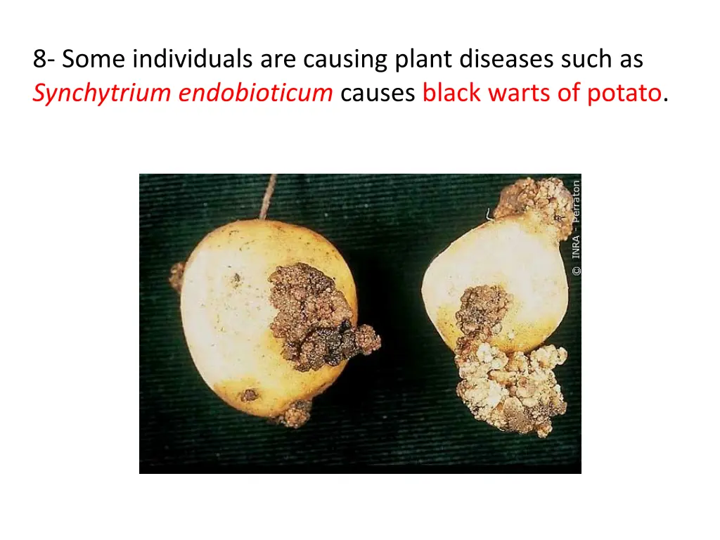 8 some individuals are causing plant diseases