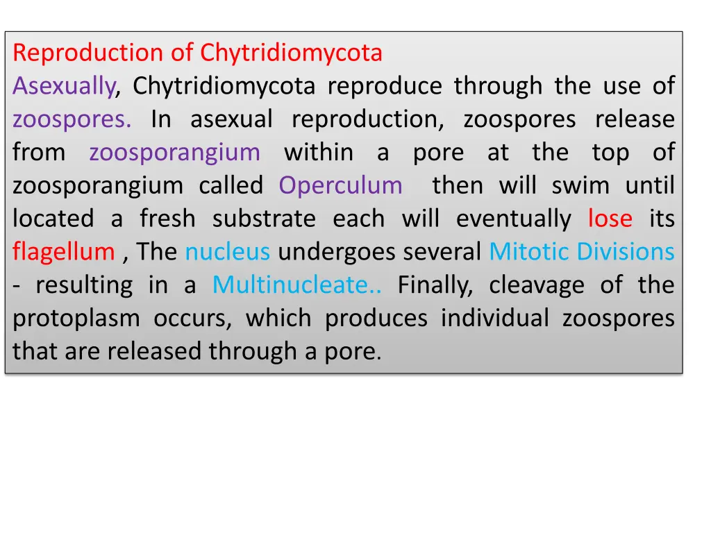 reproduction of chytridiomycota asexually