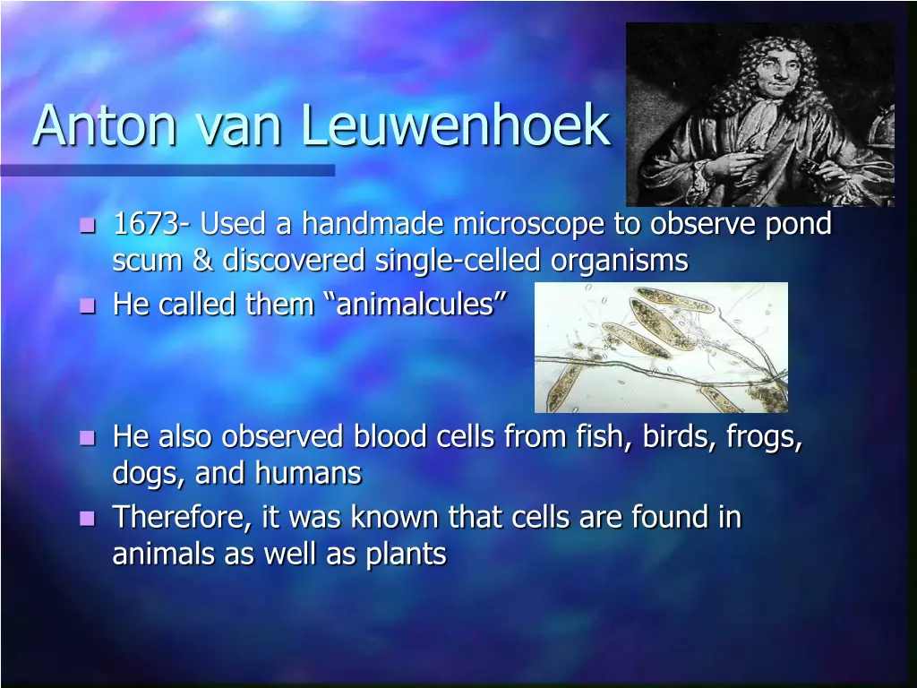 anton van leuwenhoek