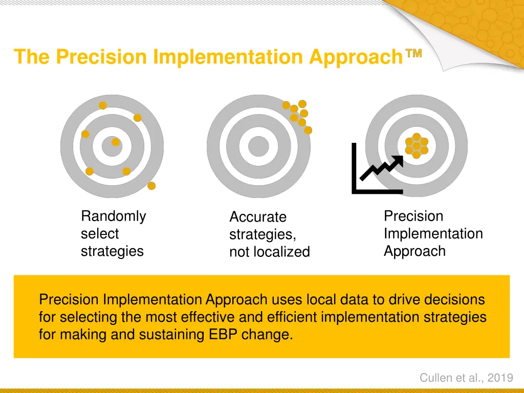 the precision implementation approach