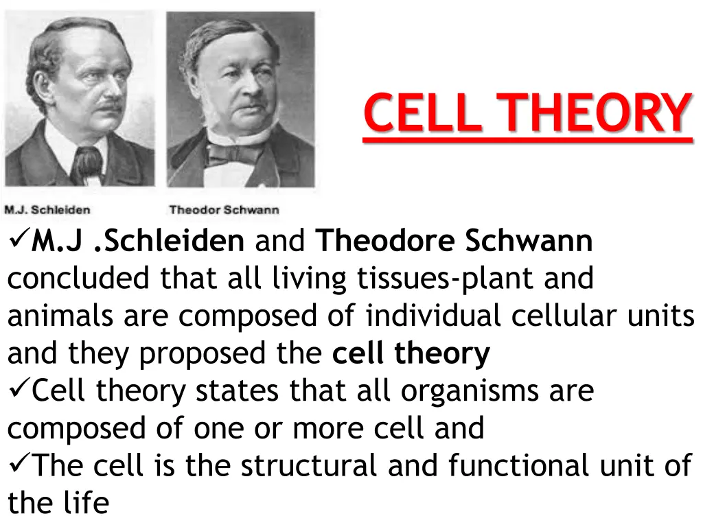 cell theory