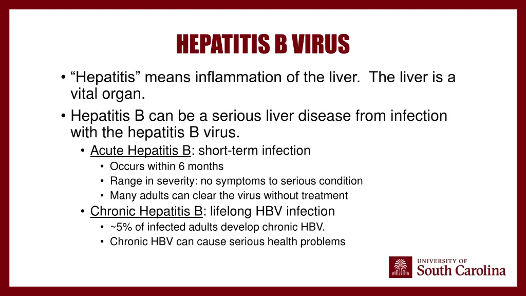 hepatitis b virus