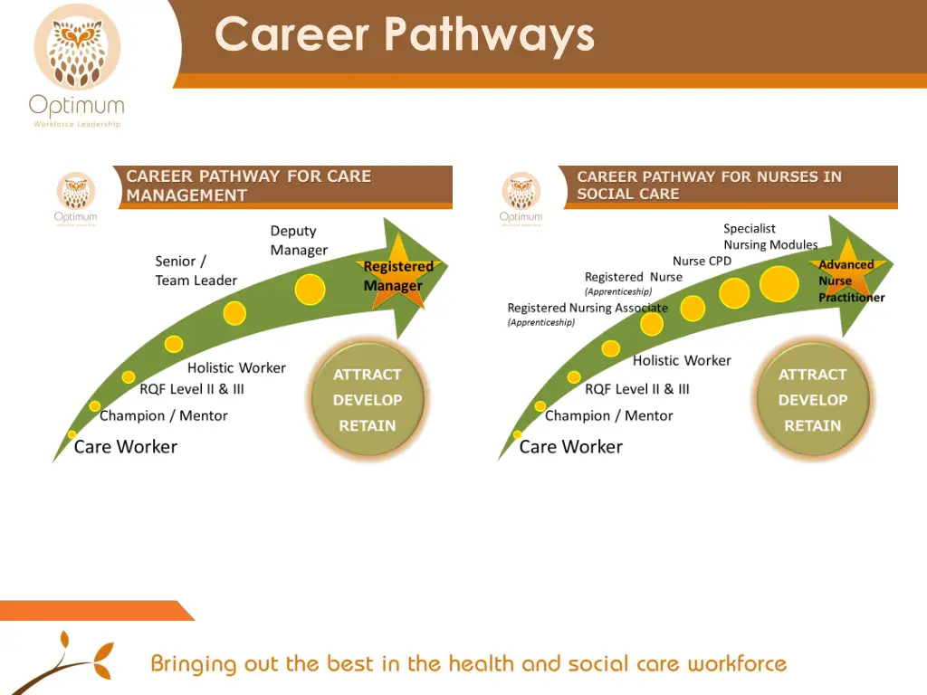 career pathways