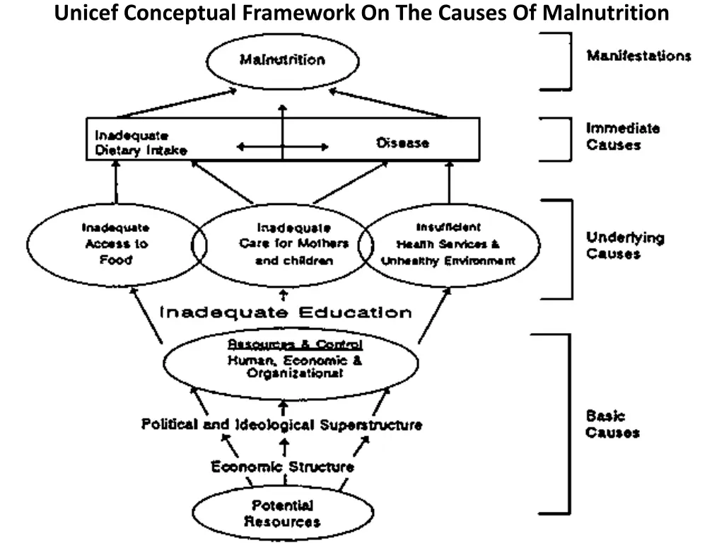 unicef conceptual framework on the causes 1