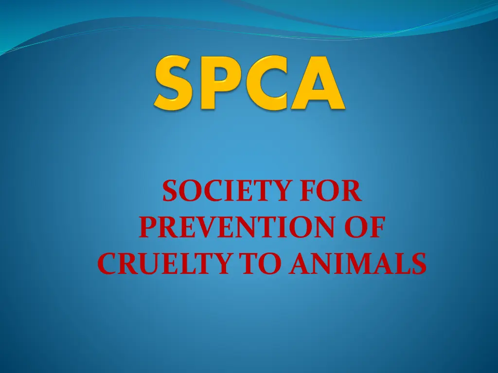 society for prevention of cruelty to animals