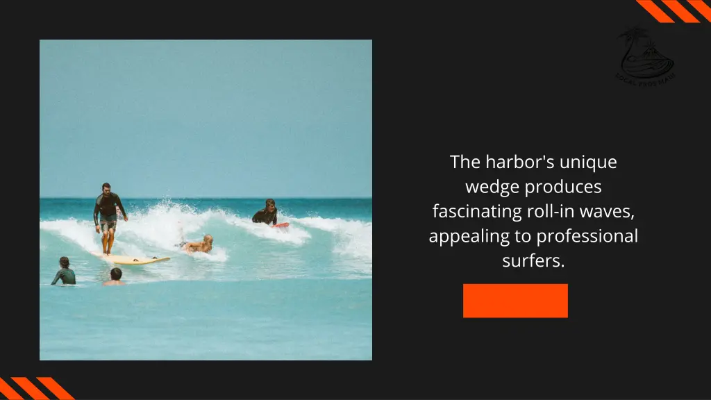 the harbor s unique wedge produces fascinating