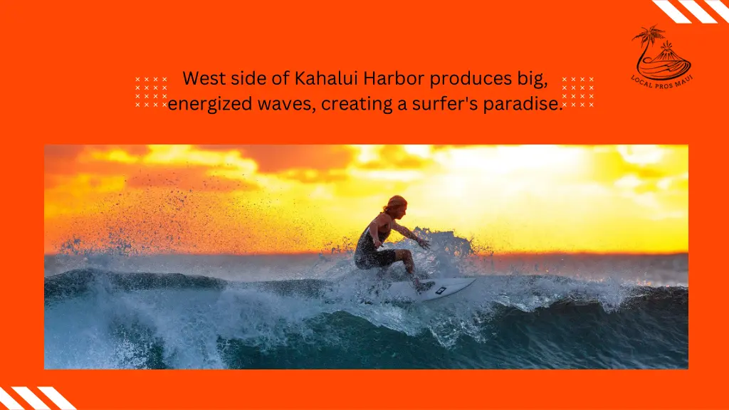 west side of kahalui harbor produces