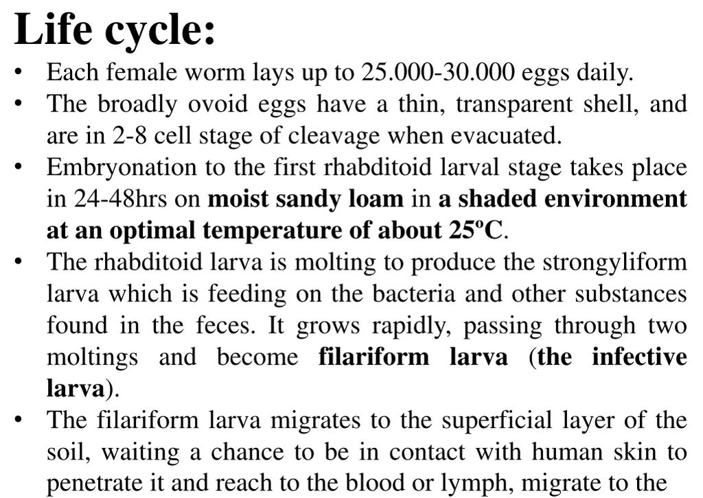 life cycle each female worm lays