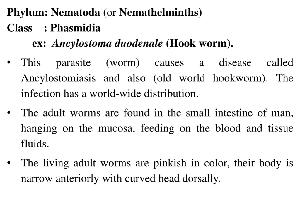 phylum nematoda or nemathelminths class phasmidia