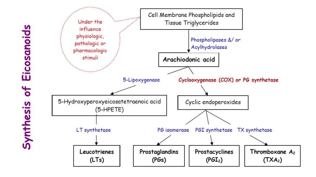 synthesis of eicosanoids