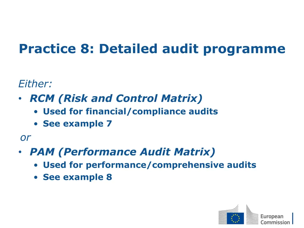 practice 8 detailed audit programme