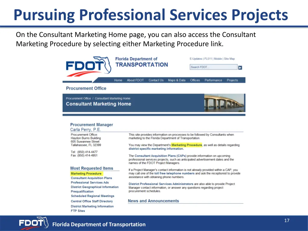 pursuing professional services projects 6