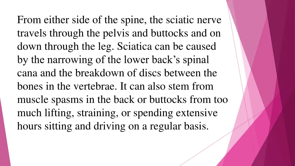 from either side of the spine the sciatic nerve