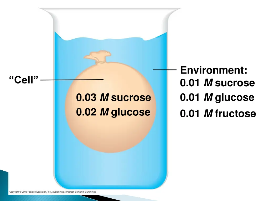 environment 0 01 m sucrose 0 01 m glucose