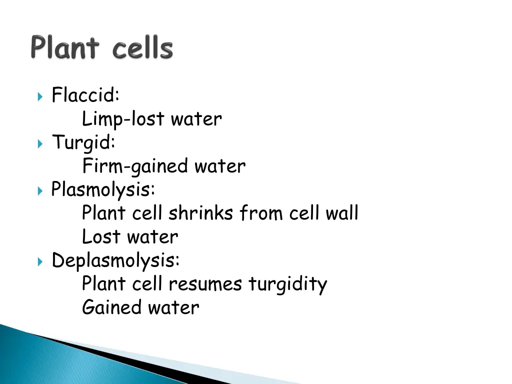 flaccid turgid plasmolysis plant cell shrinks