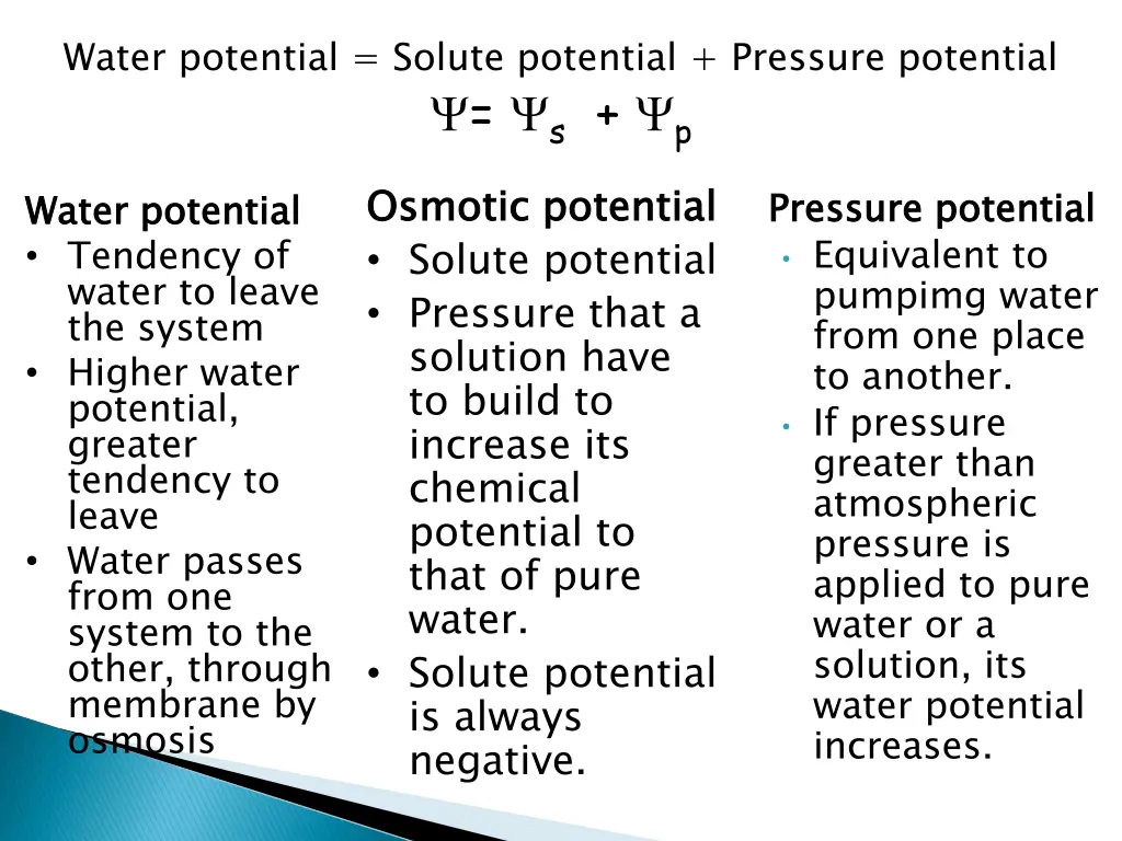 water potential solute potential pressure