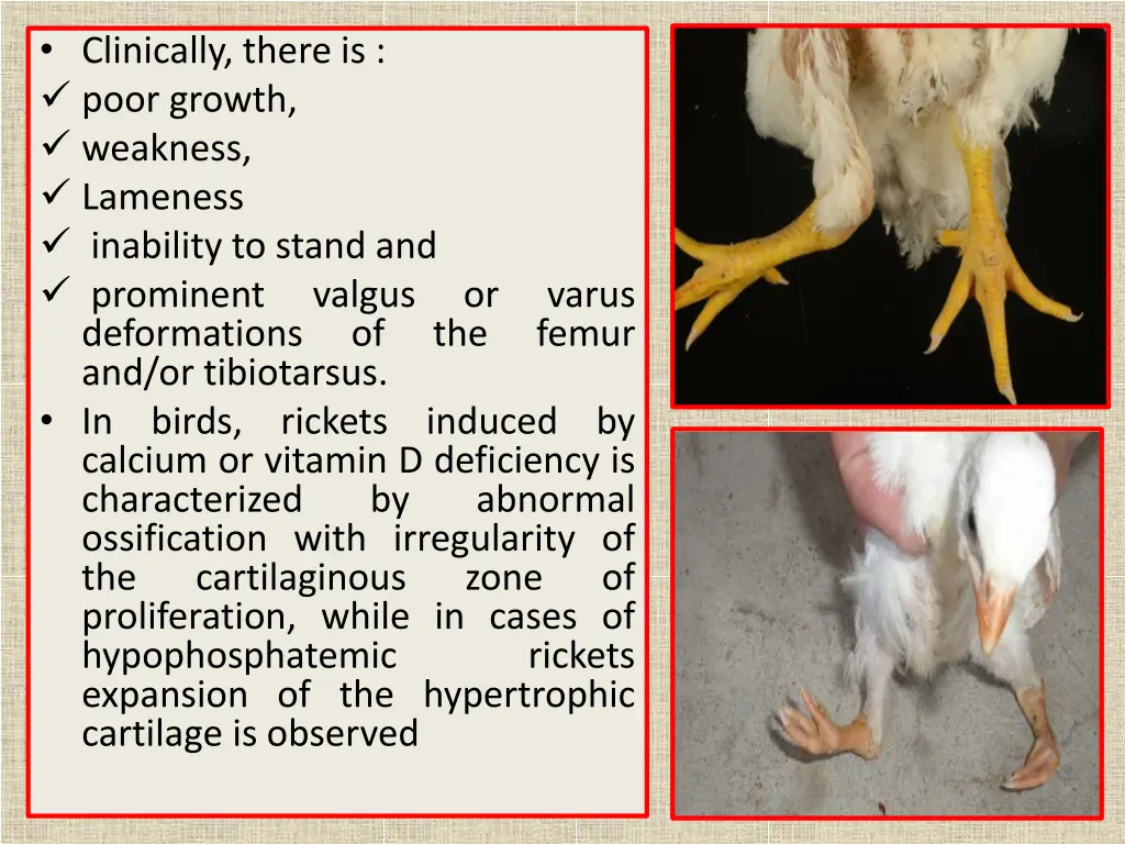 clinically there is poor growth weakness lameness