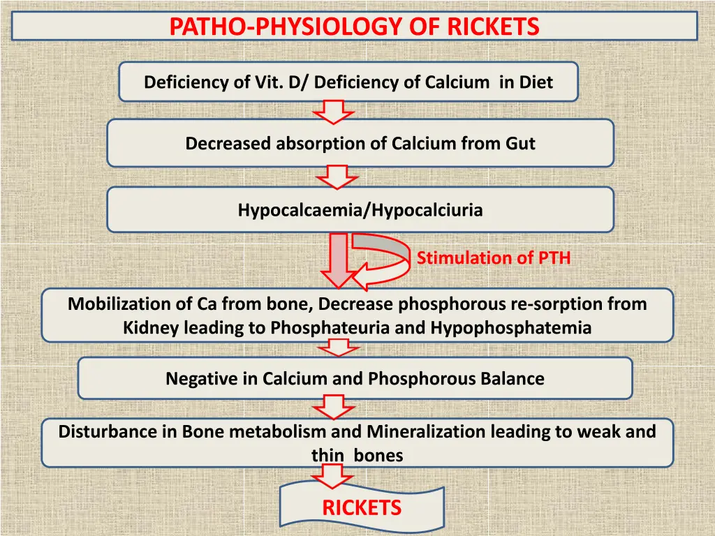 patho physiology of rickets