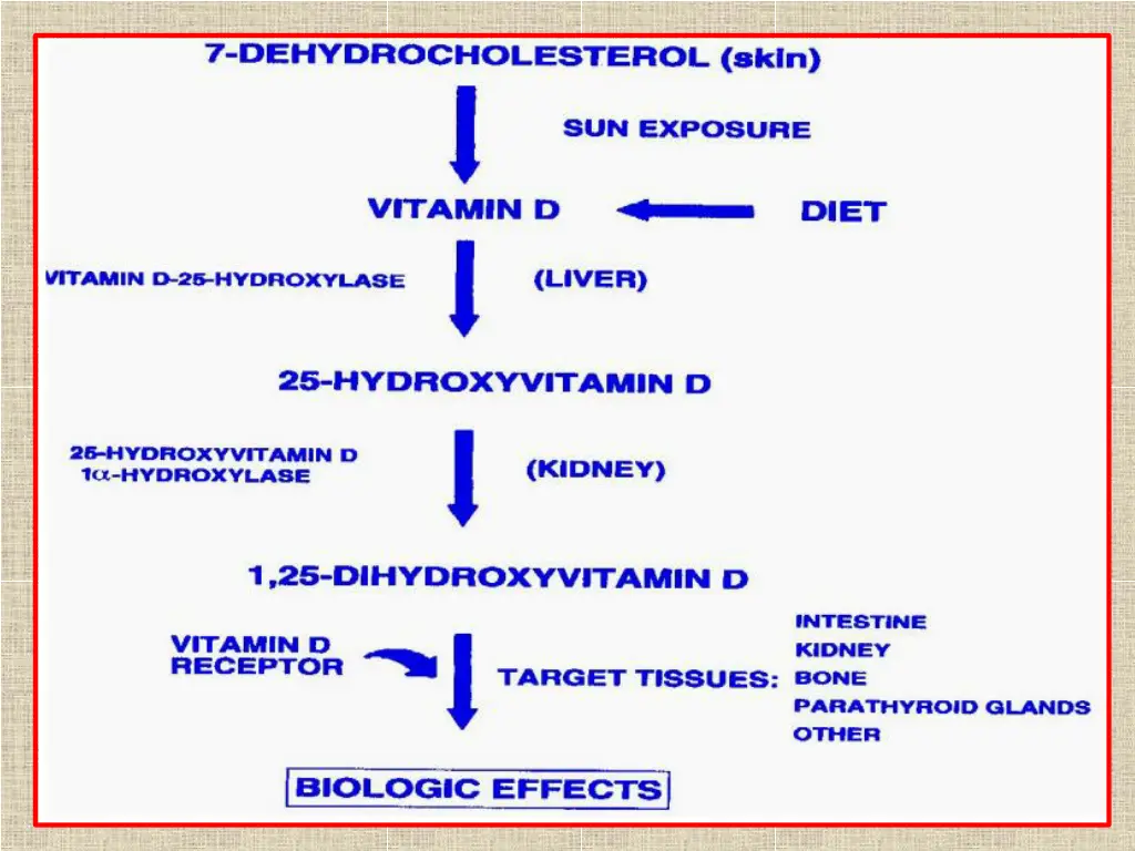 slide6