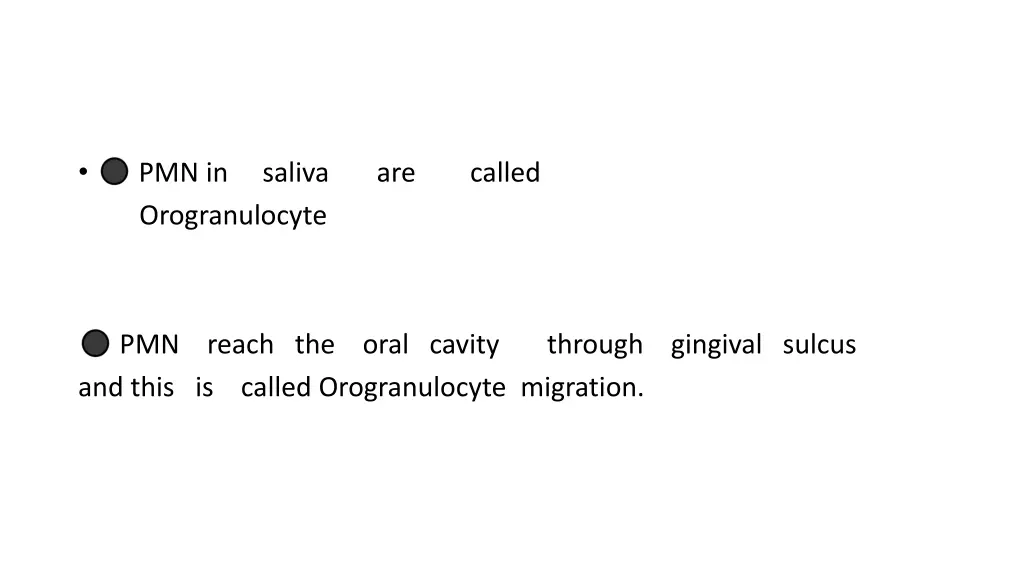 orogranulocyte