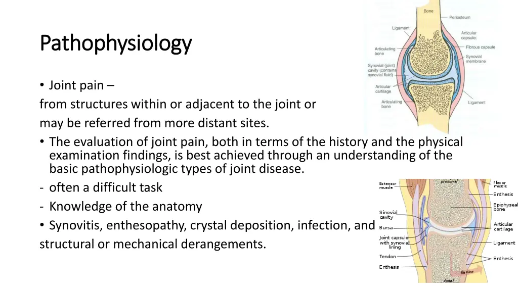 pathophysiology pathophysiology